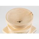 1446647101176_family.jpg Thumb