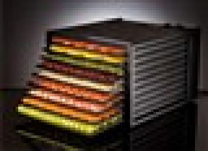 Sušička Excalibur černá 9 táců - tácy s ovocem sus3.jpg