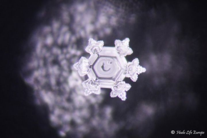 Krystal vody z harmonizéru metodou Masaru Emota krystal_viahuman.jpg